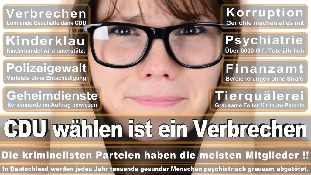 Sven Sennewald, CDU, ASS GmbH Friedrichs Druck Verpackung, SüdLeasing GmbH, Diskont Und Kredit